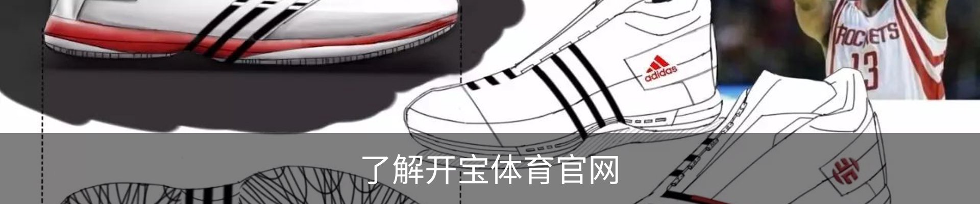 了解开宝体育官网